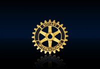 Rotary Member Pin 18 kt Gold
