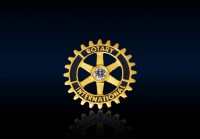 Rotary Member Pin 18 kt Gold with Center Diamond